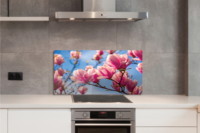 Panel Kuchenny Szklany Wiosenny Sad w Rozkwicie