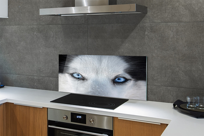 Szkło Ozdobne do Kuchni Przenikliwe Oczy Wilka