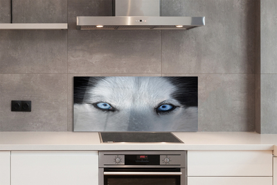 Szkło Ozdobne do Kuchni Przenikliwe Oczy Wilka