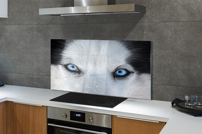 Szkło Ozdobne do Kuchni Przenikliwe Oczy Wilka