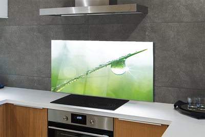 Panel nad Blat Kuchenny Rosa na Źdźble Trawy