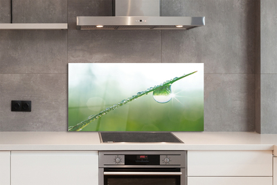 Panel nad Blat Kuchenny Rosa na Źdźble Trawy