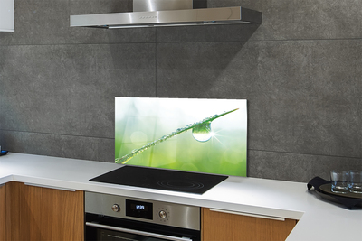 Panel nad Blat Kuchenny Rosa na Źdźble Trawy