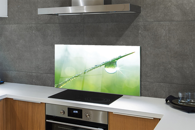 Panel nad Blat Kuchenny Rosa na Źdźble Trawy