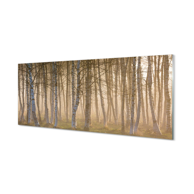 Szklany Panel Wschód słońca las drzewa