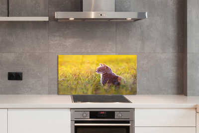 Panel szklany do Kuchni Kot w Trakcie Polowania