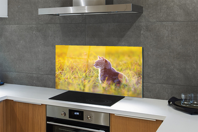 Panel szklany do Kuchni Kot w Trakcie Polowania