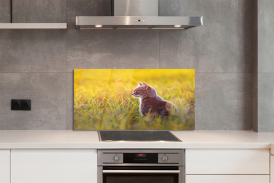 Panel szklany do Kuchni Kot w Trakcie Polowania