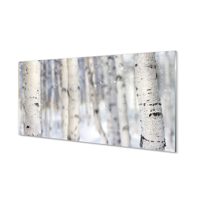 Panel szklany do Kuchni Ośnieżone Drzewa w Lesie