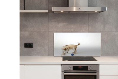 Panel szklany do Kuchni Radosna Zabawa Psa