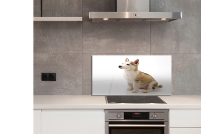 Panel szklany do Kuchni Mały Szczeniak w Pozycji Siedzącej