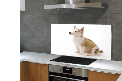 Panel szklany do Kuchni Mały Szczeniak w Pozycji Siedzącej