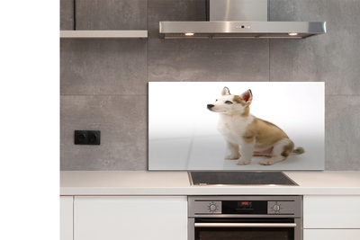 Panel szklany do Kuchni Mały Szczeniak w Pozycji Siedzącej