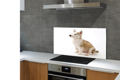 Panel szklany do Kuchni Mały Szczeniak w Pozycji Siedzącej