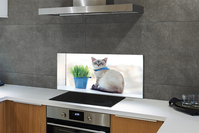 Panel szklany do Kuchni Dostojny Siedzący Kot