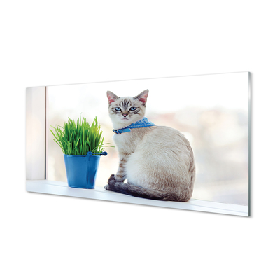 Panel Szklany Siedzący kot