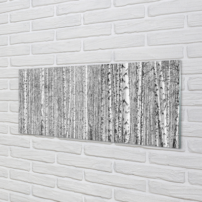 Szklany Panel Czarno-białe drzewa las