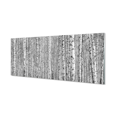 Szklany Panel Czarno-białe drzewa las