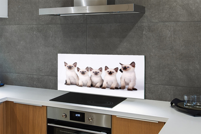 Panel szklany do Kuchni Grupa Uroczych Kociąt