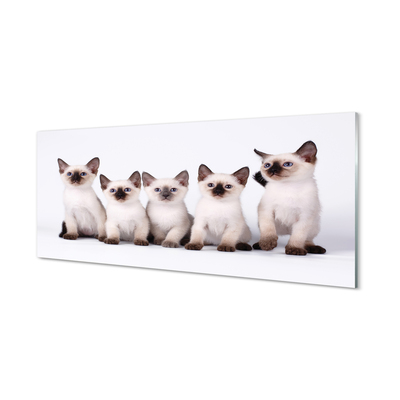 Panel Szklany Małe koty