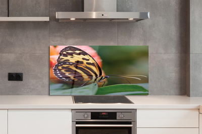 Panel Kuchenny Szklany Samotny Motyl w Locie