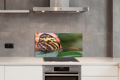 Panel Kuchenny Szklany Samotny Motyl w Locie