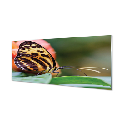 Panel Kuchenny Szklany Samotny Motyl w Locie