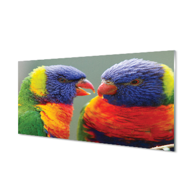 Panel Szklany Kolorowe papugi