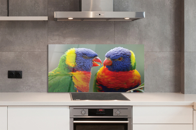 Panel szklany do Kuchni Barwny Świat Egzotycznych Ptaków