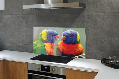 Panel szklany do Kuchni Barwny Świat Egzotycznych Ptaków