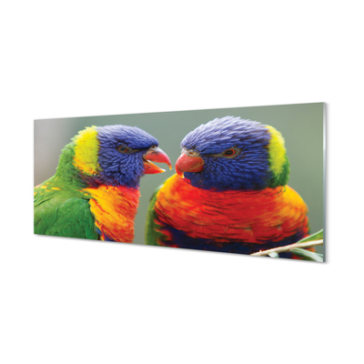 Panel Szklany Kolorowe papugi