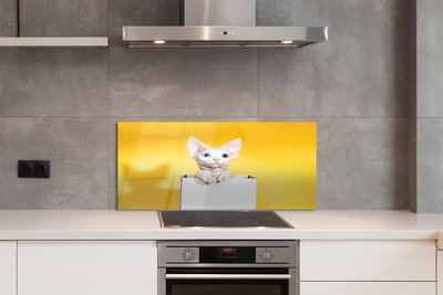 Panel szklany do Kuchni Kot w Oczekiwaniu