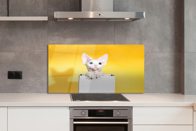 Panel szklany do Kuchni Kot w Oczekiwaniu