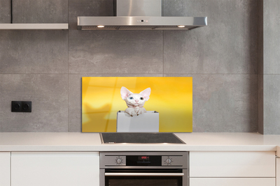 Panel szklany do Kuchni Kot w Oczekiwaniu