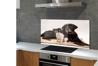 Szklany Panel Odpoczywająca Para Psów