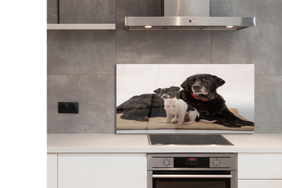 Szklany Panel Odpoczywająca Para Psów