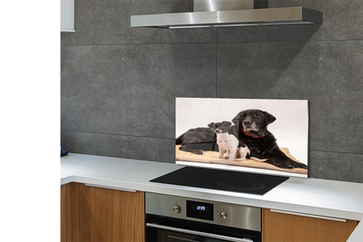 Szklany Panel Odpoczywająca Para Psów