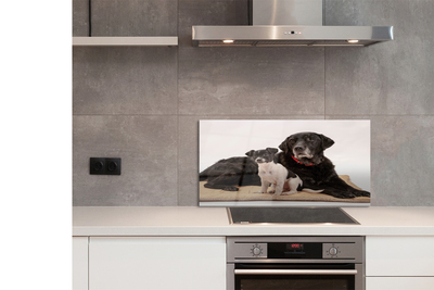 Szklany Panel Odpoczywająca Para Psów