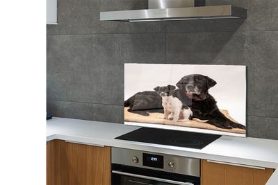 Szklany Panel Odpoczywająca Para Psów