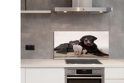 Szklany Panel Odpoczywająca Para Psów