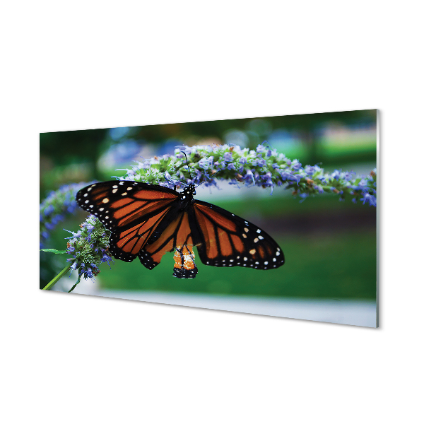 Panel Szklany Motyl Spijający Nektar
