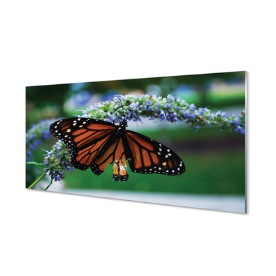 Panel Szklany Motyl Spijający Nektar