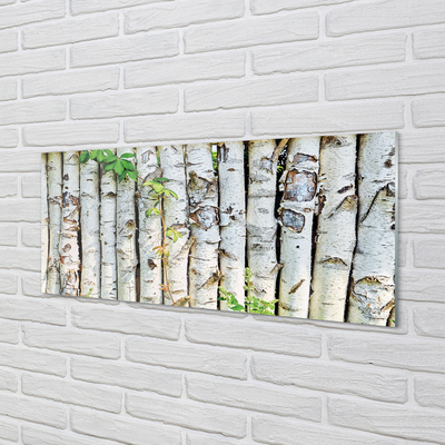 Panel szklany do Kuchni Zielone Liście Brzozy