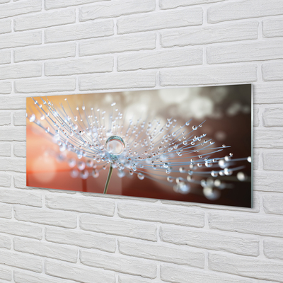 Panel nad Blat Kuchenny Dmuchawiec w Kroplach Rosy