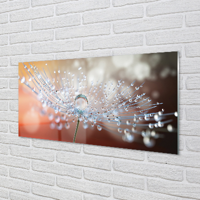 Panel nad Blat Kuchenny Dmuchawiec w Kroplach Rosy