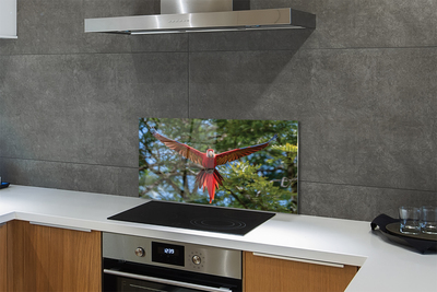 Panel szklany do Kuchni Majestatyczna Papuga Ara