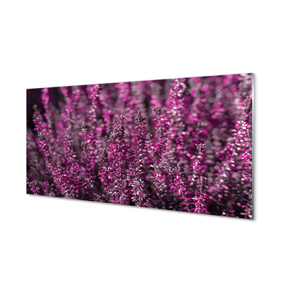 Szkło do Kuchni na Ścianę Jesienne Pole Wrzosów