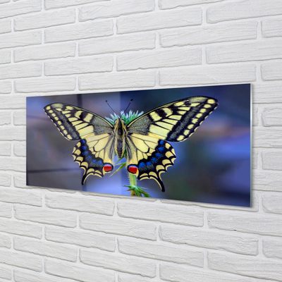 Panel szklany do Kuchni Chwila Odpoczynku Motyla