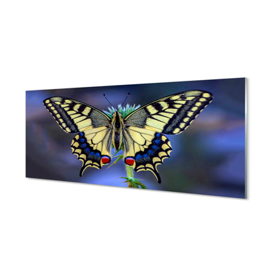 Panel szklany do Kuchni Chwila Odpoczynku Motyla