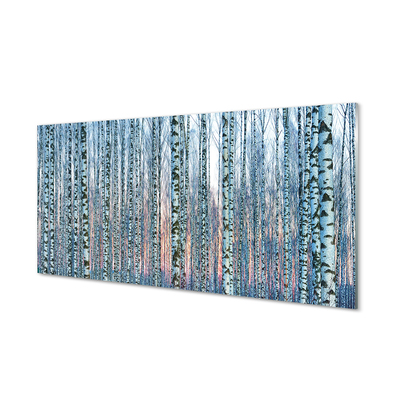 Szklany Panel Brzozy las zachód słońca